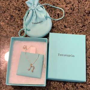 Tiffany necklace letter N